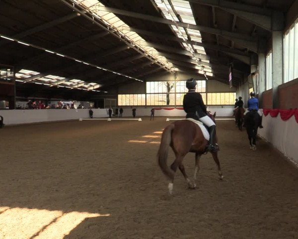 Reitturnier Greven 2022