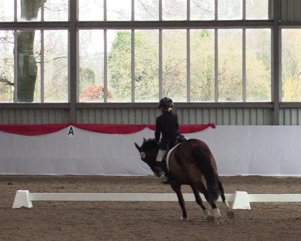 Reitturnier Greven 2022