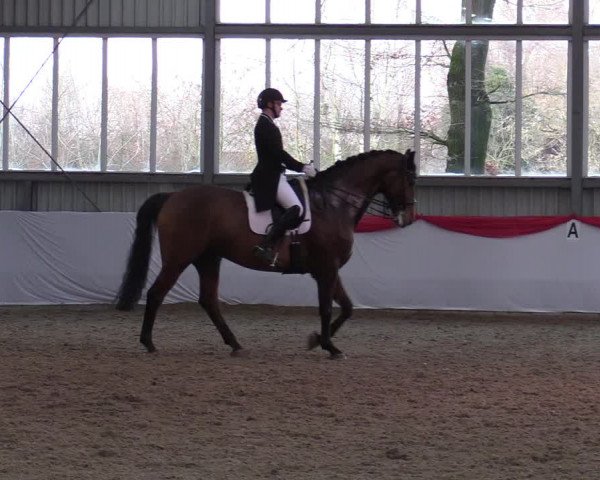 Reitturnier Greven 2022