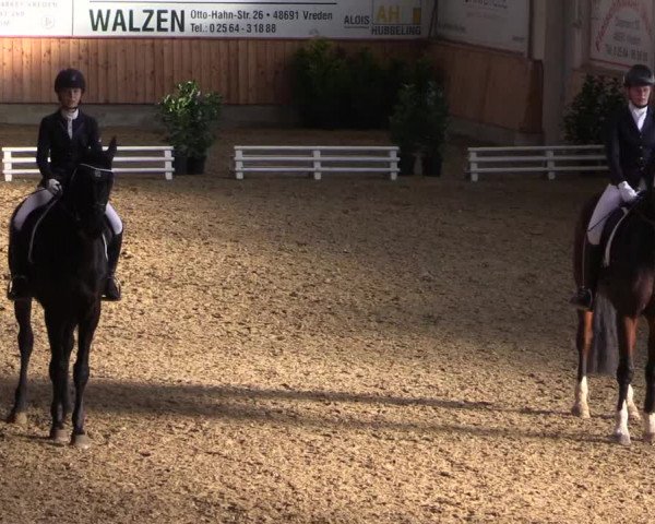 Reitturnier Vreden 2022
