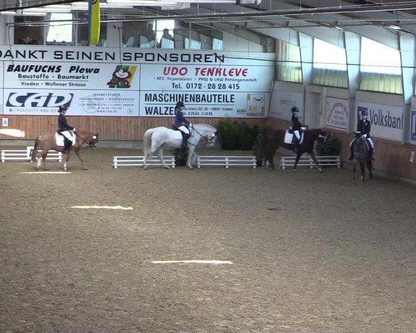 Reitturnier Vreden 2022