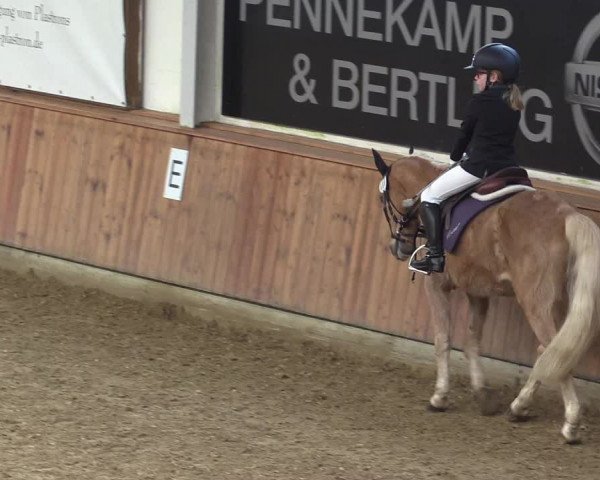 Reitturnier Vreden 2022