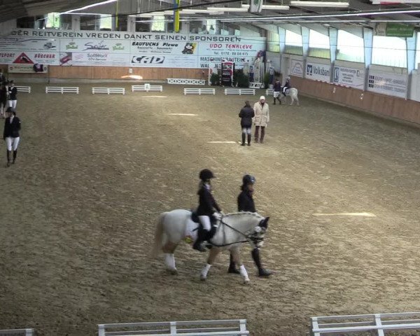 Reitturnier Vreden 2022