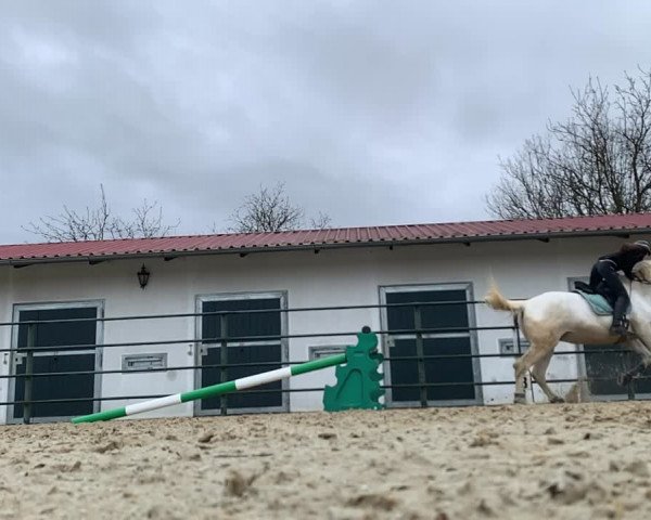 Video of Concalet