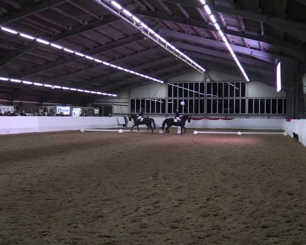Reitturnier Greven 2022