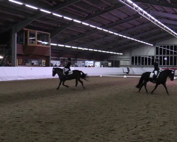 Reitturnier Greven 2022