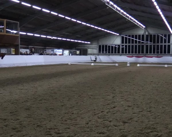 Reitturnier Greven 2022