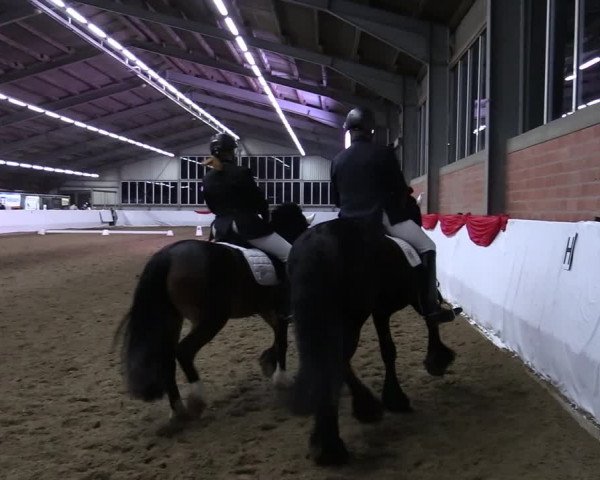 Reitturnier Greven 2022
