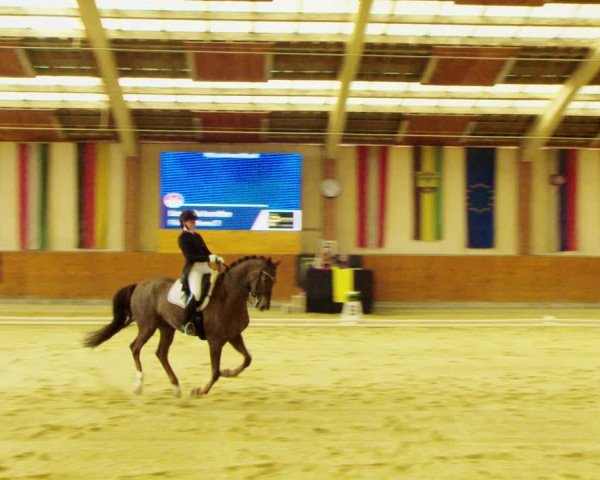 Dressurturnier Weikersdorf am Steinfelde 2022