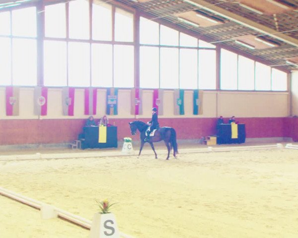 Dressurturnier Weikersdorf am Steinfelde 2022