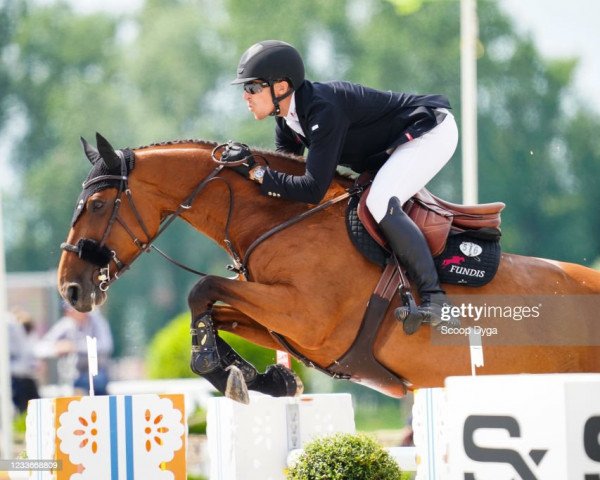 broodmare Hera de Landetta II (KWPN (Royal Dutch Sporthorse), 2012, from Bustique)