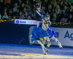 jumper Unsphinx D'Hurl'vent (French Pony, 2008, from Leopard de Mahoud)
