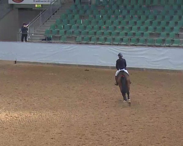 Reitturnier Kreuth/Opf. 2022