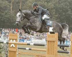 jumper El Paso 148 (Hanoverian, 1998, from Escudo I)