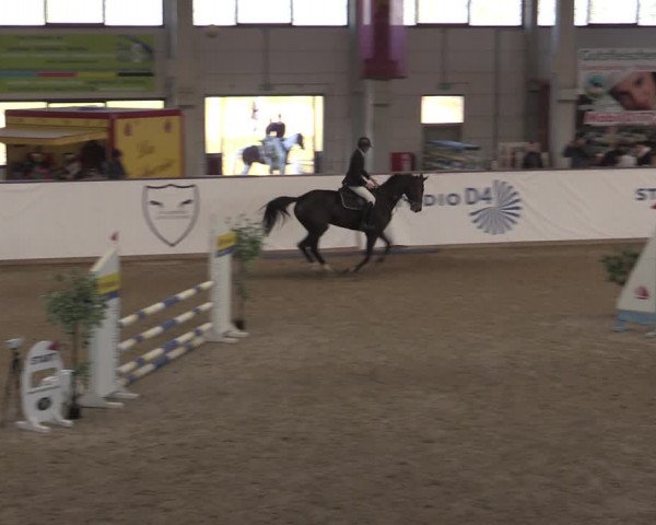 Reitturnier Prussendorf 2022