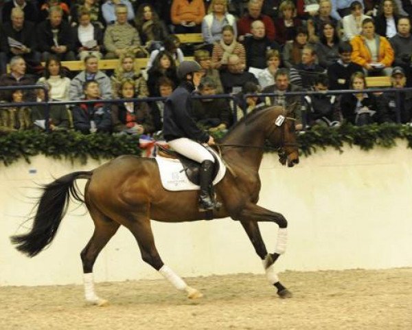 stallion Bellino xx (Thoroughbred, 1995, from Greinton xx)