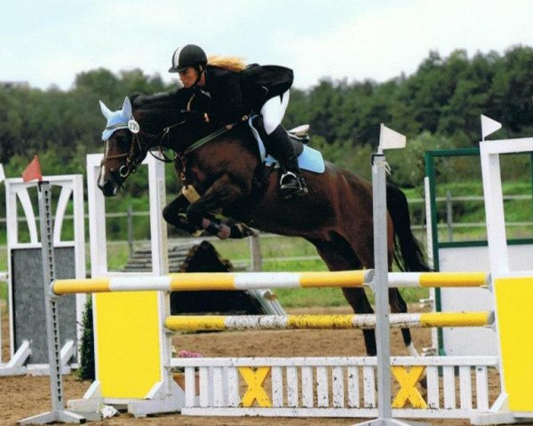 broodmare Feenzauber 7 (German Riding Pony, 1997, from Unbekannt Pony)