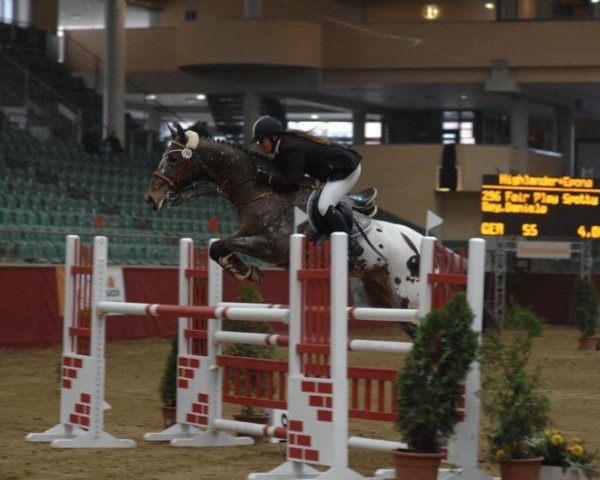 horse Fair Play Spotty (Irish Sport Horse, 1993)