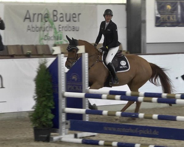 Reitturnier Karlsfeld 2022