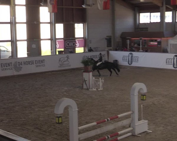 Reitturnier Prussendorf 2022