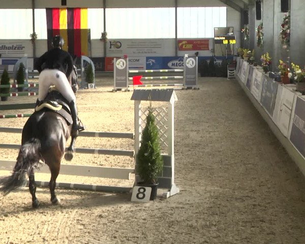 Reitturnier Karlsfeld 2022