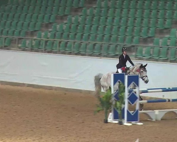 Reitturnier Kreuth/Opf. 2022