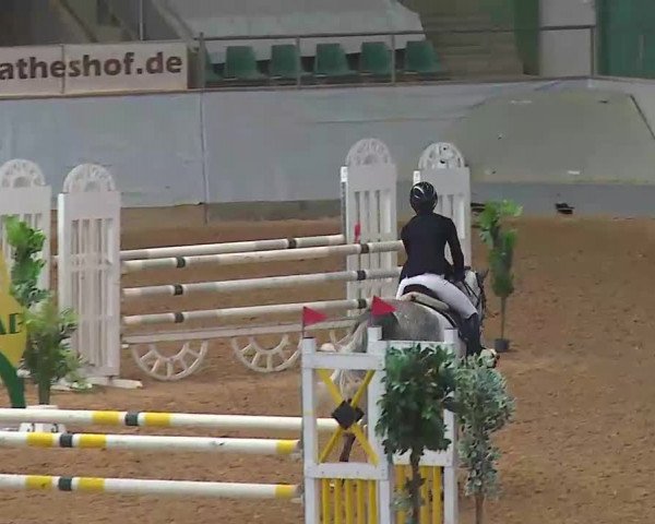Reitturnier Kreuth/Opf. 2022