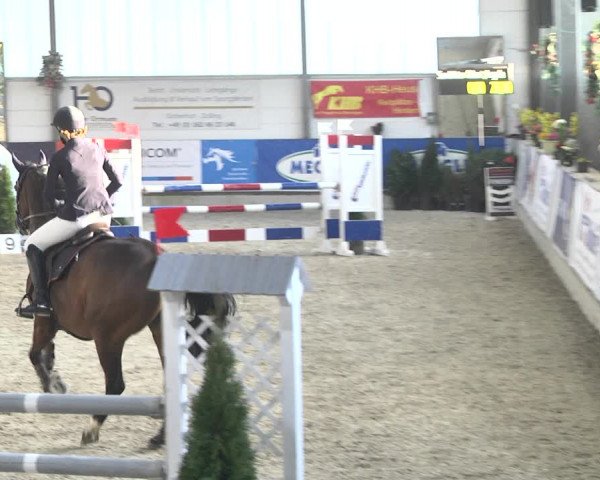 Reitturnier Karlsfeld 2022