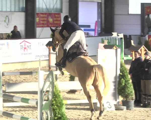 Reitturnier Karlsfeld 2022