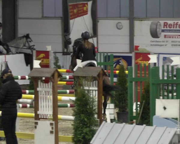 Reitturnier Karlsfeld 2022