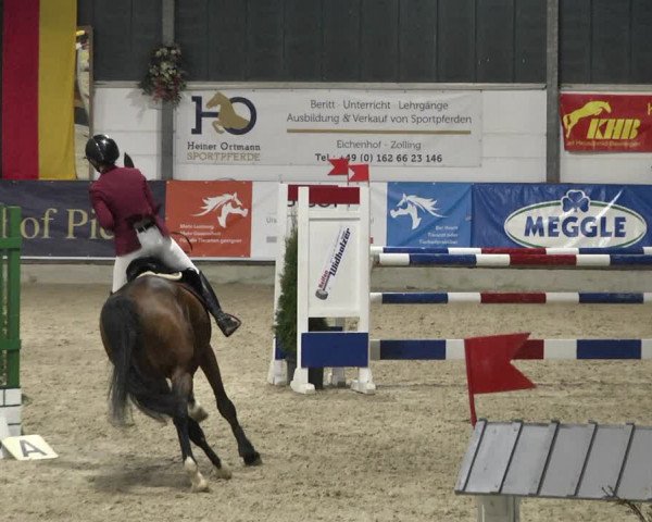Reitturnier Karlsfeld 2022