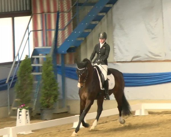 Reitturnier Buchs 2022