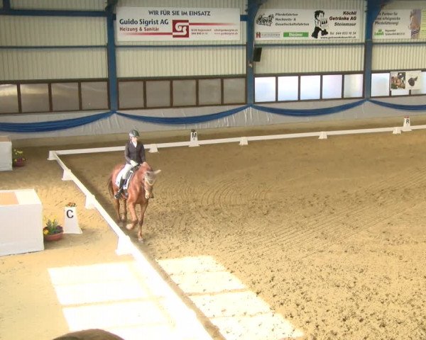 Reitturnier Buchs 2022