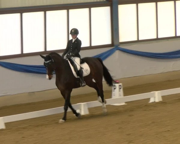 Reitturnier Buchs 2022
