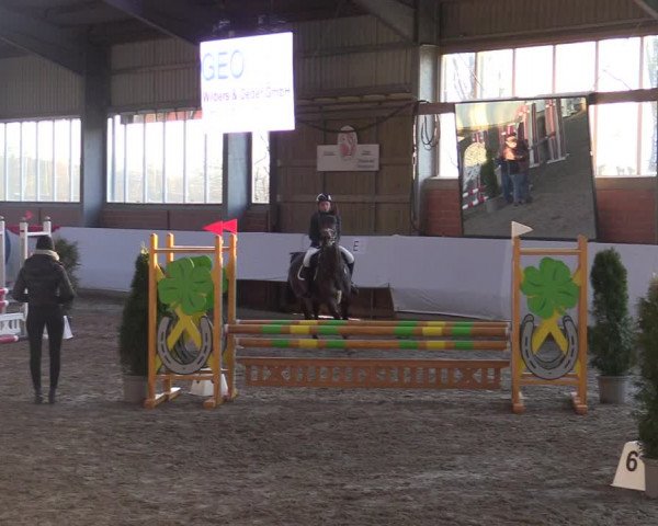 Reitturnier Greven 2022