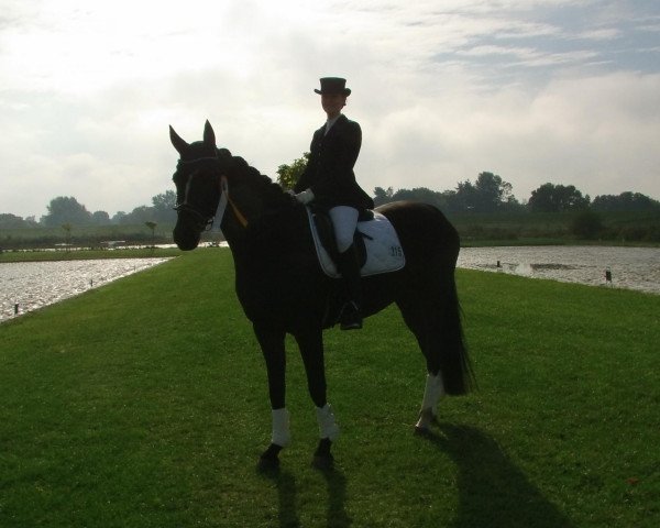 dressage horse Lord Byron 8 (Hanoverian, 2003, from Londonderry)