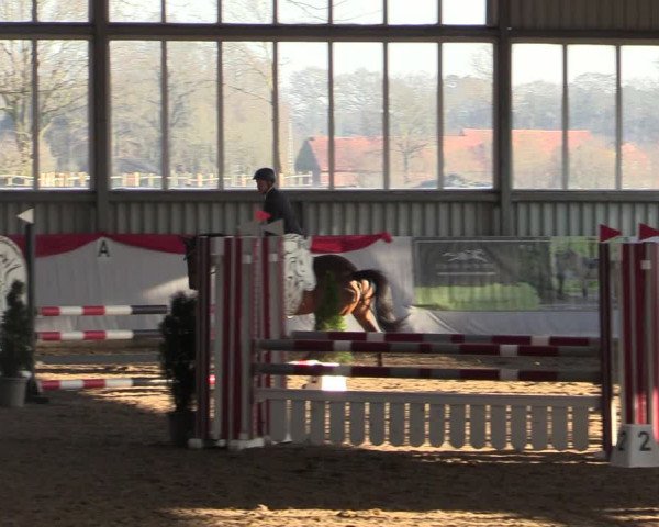 Reitturnier Greven 2022