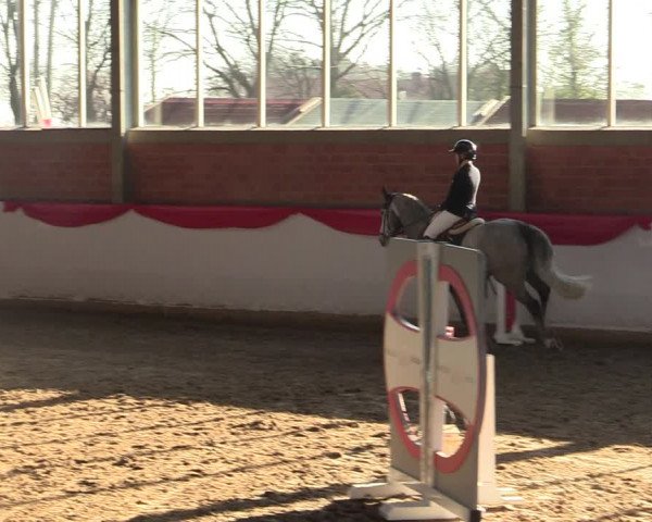 Reitturnier Greven 2022
