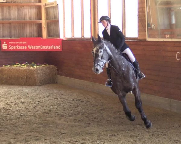 Reitturnier Coesfeld-Lette 2022