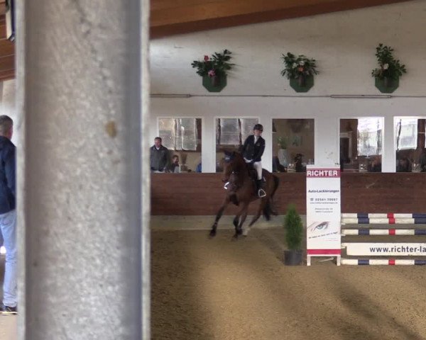 Reitturnier Coesfeld-Lette 2022