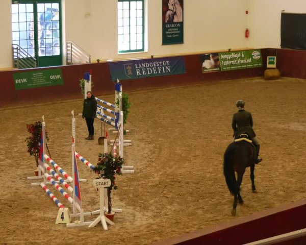 Reitturnier Redefin 2022