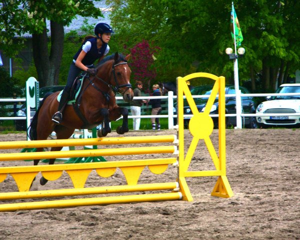 jumper Tres Jolie 5 (German Riding Pony, 1997, from Top Nonstop)