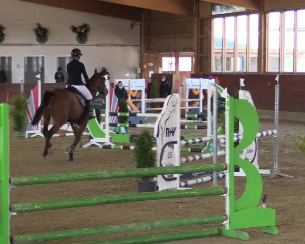 Reitturnier Coesfeld-Lette 2022