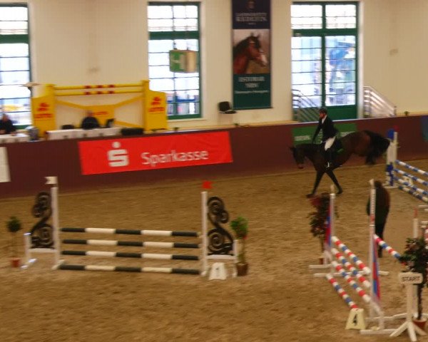 Reitturnier Redefin 2022
