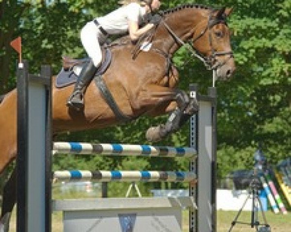 jumper Losano (Oldenburg, 1998, from Lordanos)