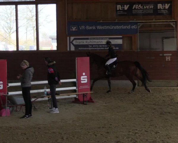Reitturnier Coesfeld-Lette 2022