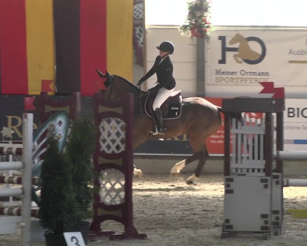 Reitturnier Karlsfeld 2022