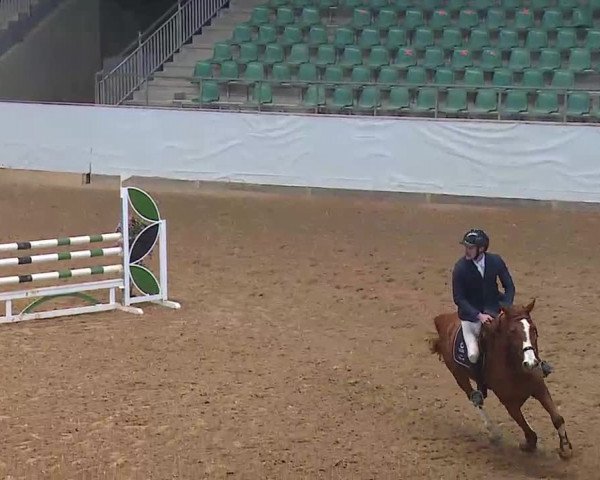 Reitturnier Kreuth/Opf. 2022