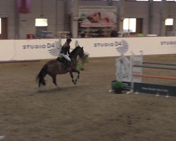 Reitturnier Prussendorf 2022
