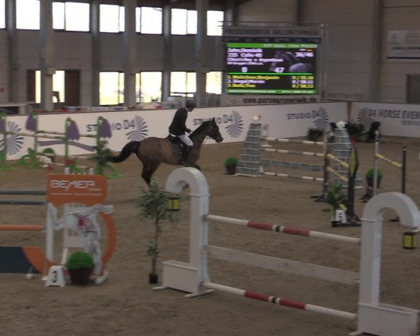 Reitturnier Prussendorf 2022
